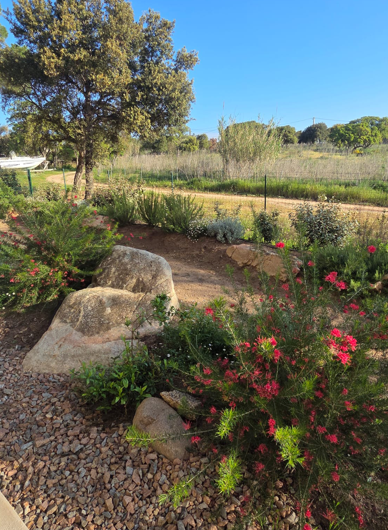 corse_du_sud_Appartement_33